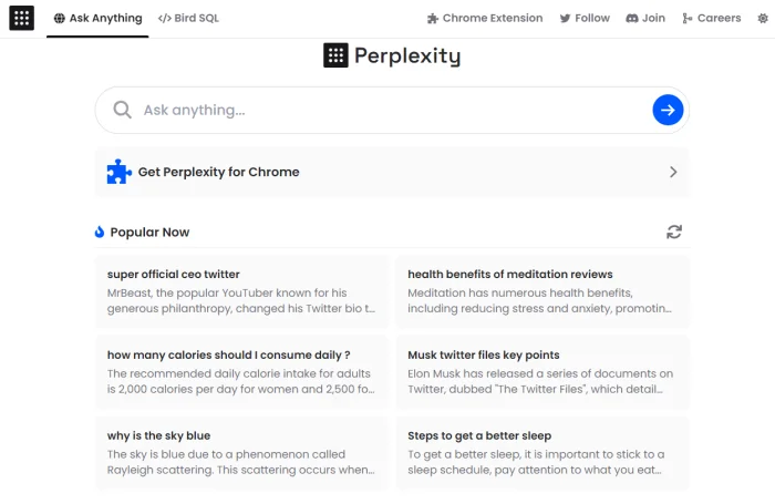 Perplexity input page