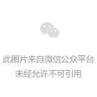 苹果用户的福音，不用安装不用注册，体验ChatGPT和AI画画